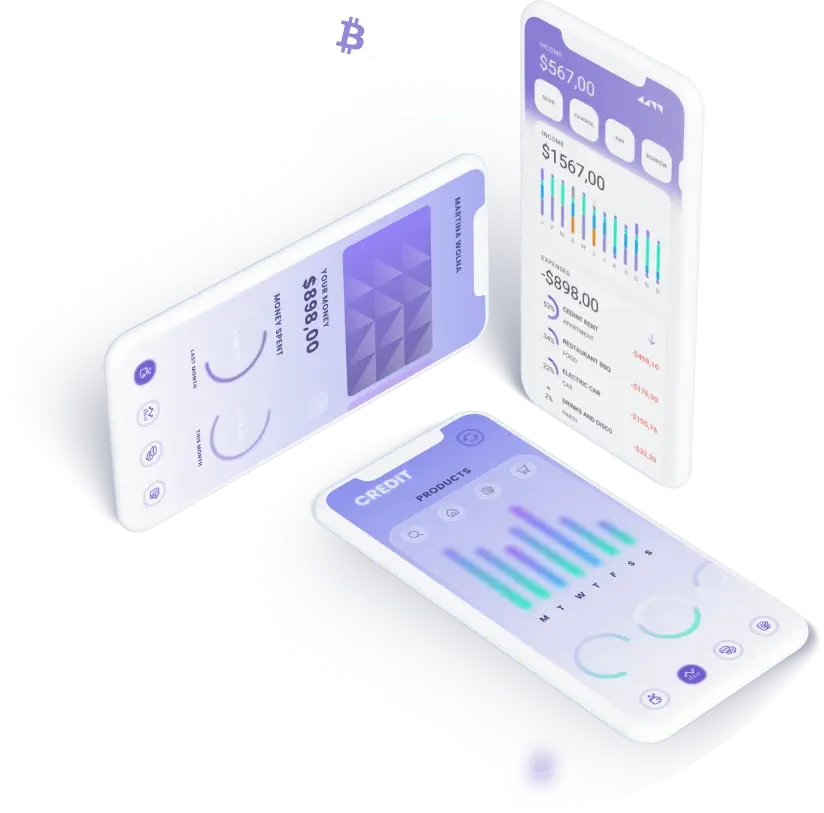 RoneviaPro - Unlock Enhanced Security with Cryptography Through RoneviaPro